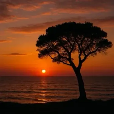 /images/text-to-image/pages/photo/sunset.webp